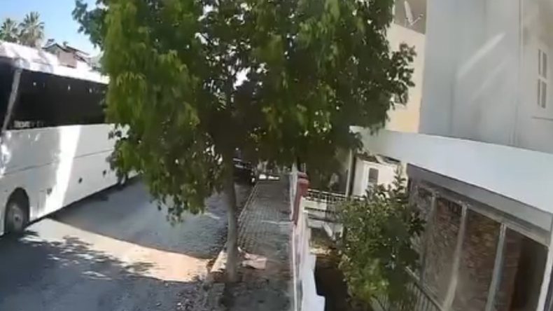 Otobüs Şoförü, Sokak Köpeğini Bilerek Ezdi