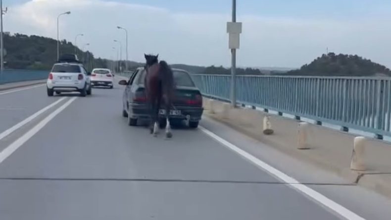 Otomobile Bağlı Atla İlerleyince 2 Kişi Gözaltında