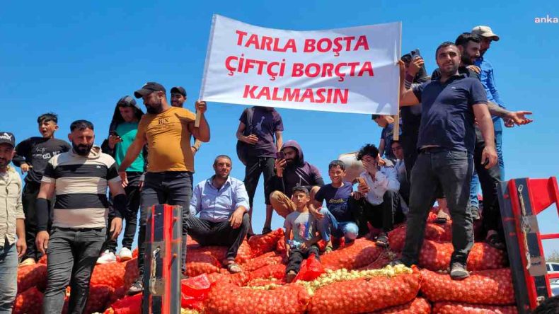 Reyhanlı’da Çiftçiler Soğan Dökerek Eylem Gerçekleştirdi!