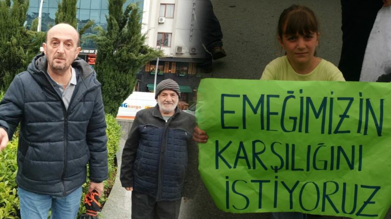 Rize’de Çay Değil Öfke Demleniyor! Erdoğan’ın Hemşehrileri Fokur Fokur