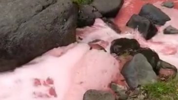 Rize’deki Dere Kırmızıya Büründü: Halk Endişeli