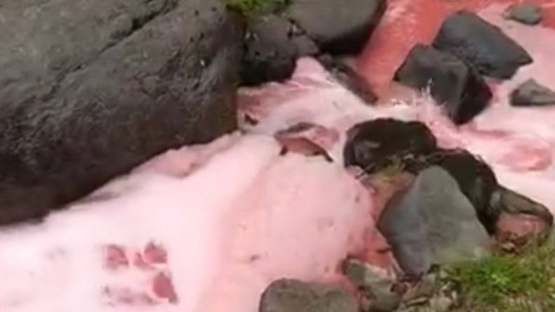 Rize’deki Dere Kırmızıya Büründü: Halk Endişeli