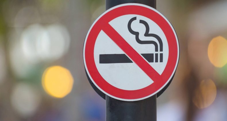 Sağlık Tehlikede, Vergi Geliri Yükselişte