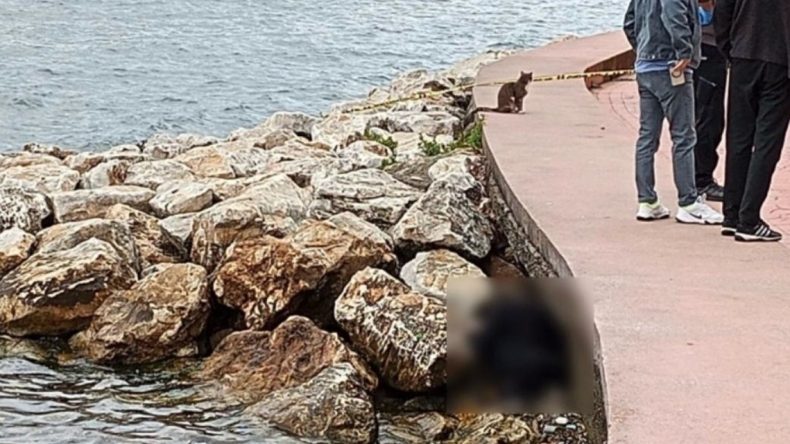 Sahilde Kayalıklarda Erkek Cesedi Bulundu