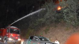 Şaka Yaparken Ormanı Yakan Genç Hakkında Dava Açıldı: 43 Milyon TL İsteniyor