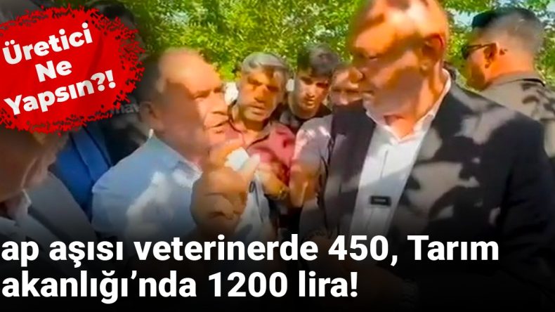 Şap aşısı veterinerde 450, Tarım Bakanlığı’nda 1200 lira! Üretici ne yapsın?