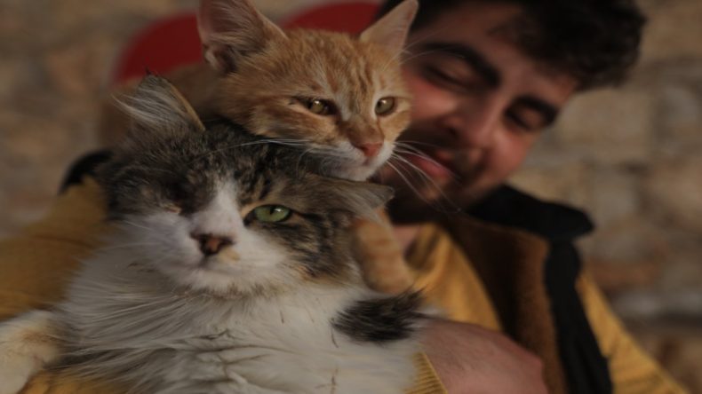 Savaşın Vurduğu Patilere Halepli Öğretmenin Yardım Eli