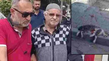 Savcılığın İtirazı Üzerine Sokak Kedisini Pompalı Tüfekle Öldüren Şüpheli Tutuklandı