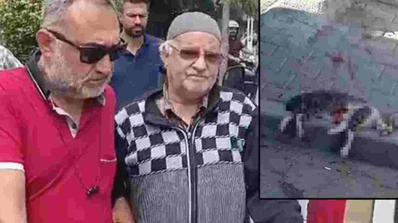 Savcılığın İtirazı Üzerine Sokak Kedisini Pompalı Tüfekle Öldüren Şüpheli Tutuklandı