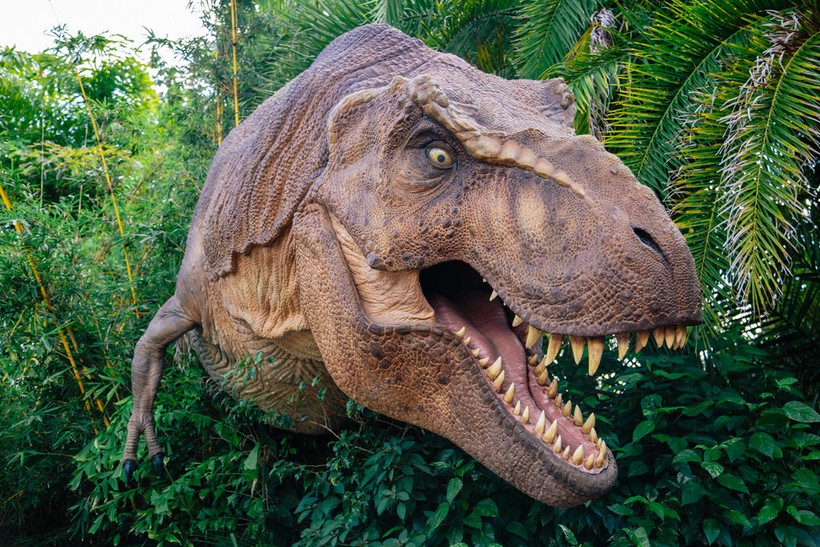 T.rex Derisi Projesi