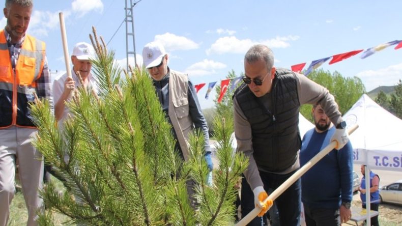 Sivas’ta Vefat Eden 535 Kişi Anısına Fidan Dikimi Gerçekleşti
