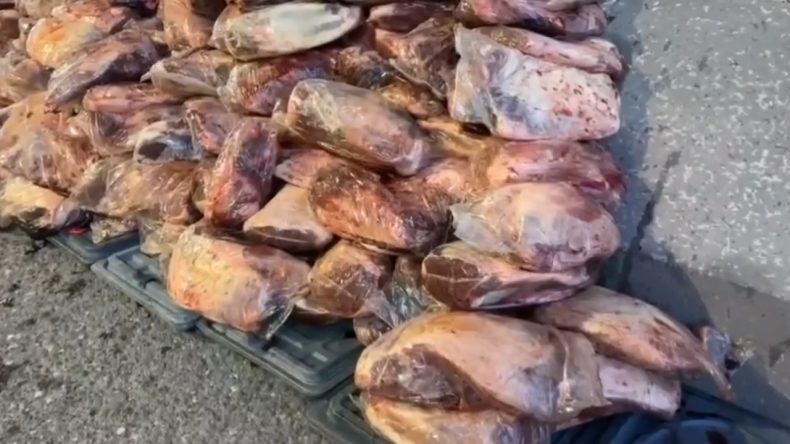 Sofralarımıza Ulaşmadan Ele Geçirildi: 1.7 Ton Bozuk Et Tespit Edildi