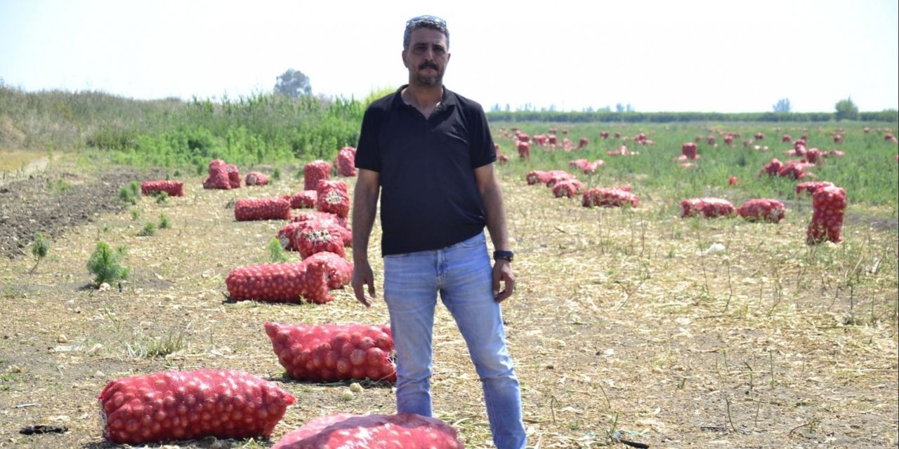 Soğan Tarlası