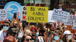 Sokak Hayvanlarının Yaşamını Tehdit Eden ‘Katliam Yasası’ Bugün Görüşülüyor