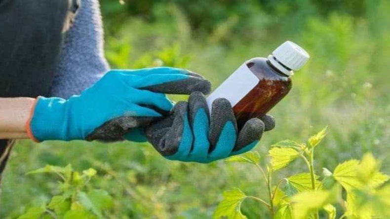 Tarım İlaçlarıyla İlgili Acil Müdahale: 3 Sağlık Çalışanı Hastaneye Kaldırıldı