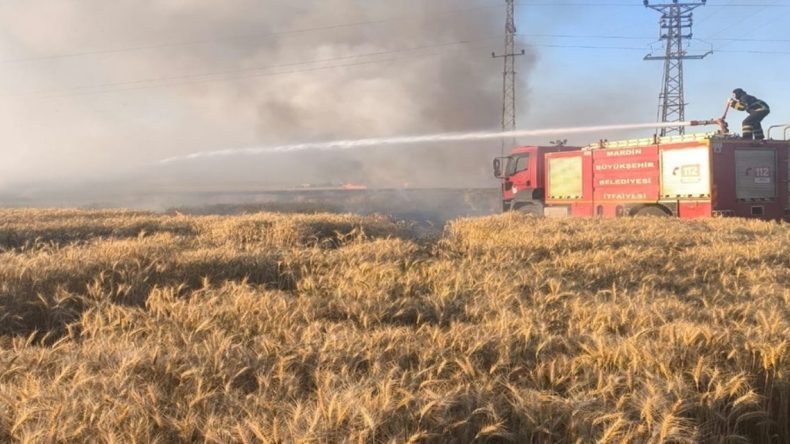 Tarlada Felaket: 155 Dönüm Ekili Buğday Yandı