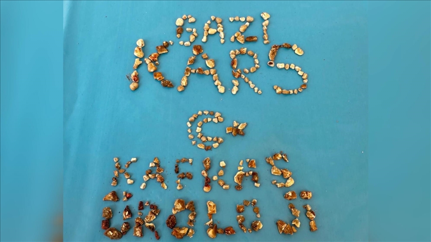 Böbrek Taşları