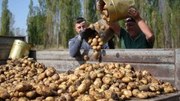 TÜİK ‘Tarım Sayımı’ Gerçekleştirecek