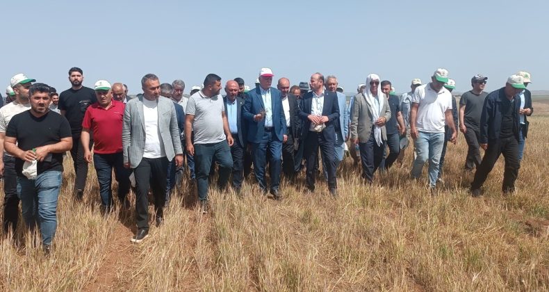 TZOB Başkanı: Yüzde 100’e Varan Kuraklık Zararları Söz Konusu