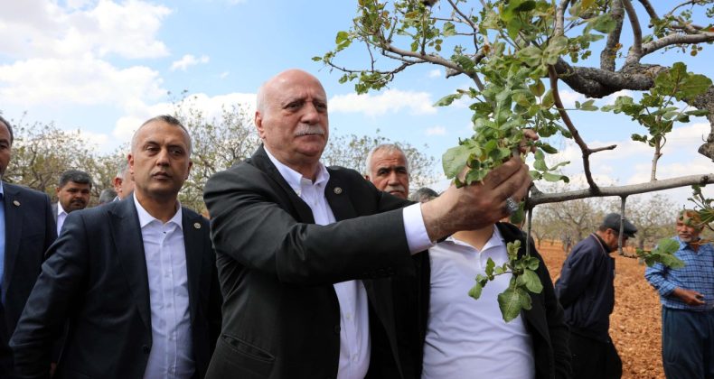 TZOB Genel Başkanı: Tarihin en büyük iklim afetlerinden birini yaşıyoruz