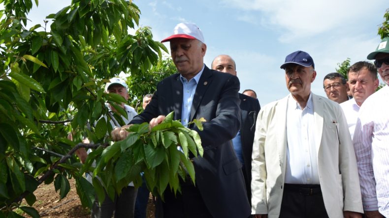 TZOB Genel Başkanı: Tarihin En Büyük Tarımsal Afetini Yaşıyoruz