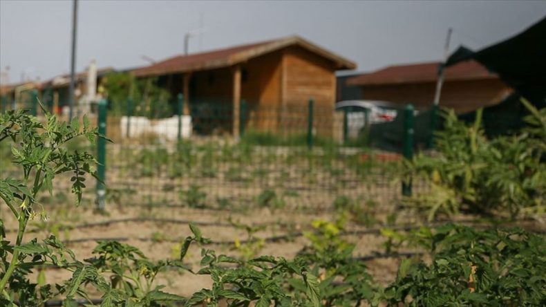 Validen ‘Hobi Bahçesi’ Uyarısı