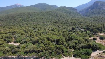 Valilikten Önemli Duyuru: Ormanlık Alanlara Giriş Yasağı