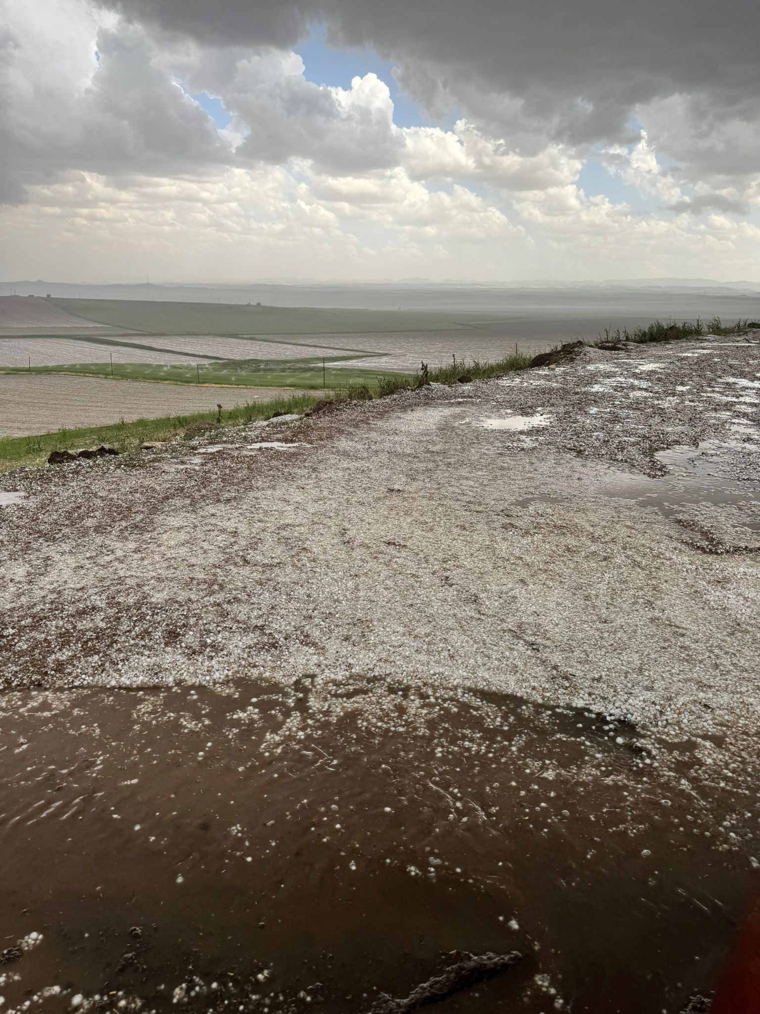 Diyarbakır Dolu Zararları