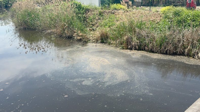 Yalova’da Kanalizasyon Suyu Denize Karıştı