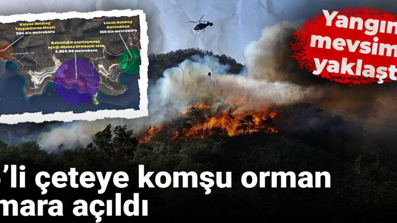 Yangın Mevsimi Yaklaşıyor: 5’li Çeteye Komşu Orman Alanı İmara Açıldı