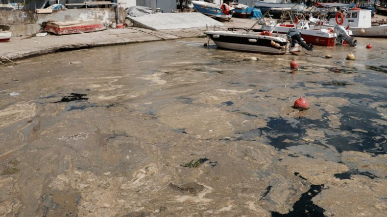 Yazın Denize Girilememe Riski! Müsilaj Geri Dönüyor