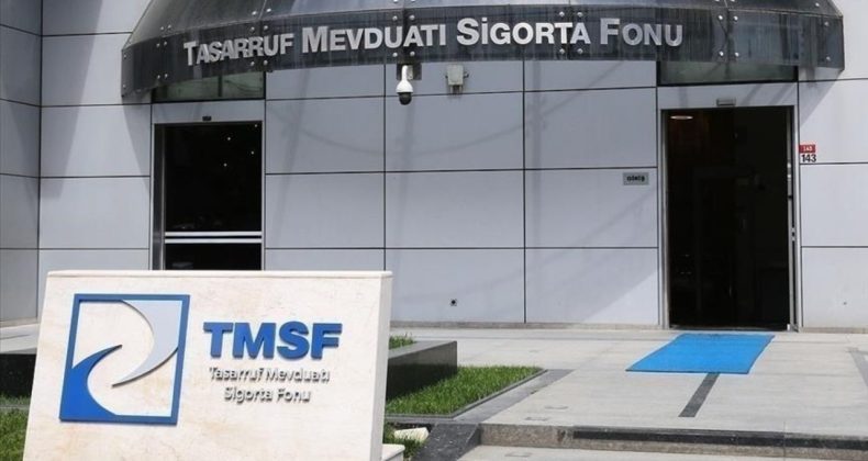Yıllık cirosu 100 milyara ulaşan holding: ‘Bünyesinde’ 770 şirket barındırıyor
