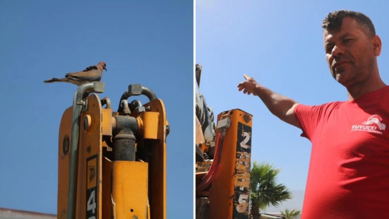 Yuva Bozulmasın Diye Günlerdir İşe Çıkamıyor: ‘150 Bin TL Kaybım Var’