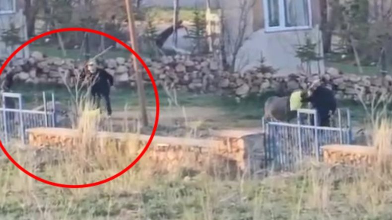 Zalimliğin böylesi… Başına torba geçirdi, vurdukça vurdu