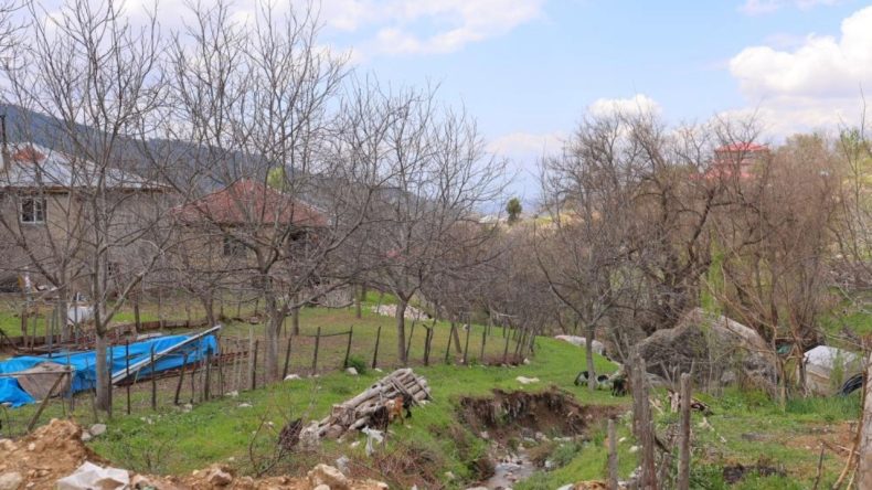 Zirai Don Planları Mahvetti: ‘En Az İki Yıl Ciddi Üretim Olmaz’