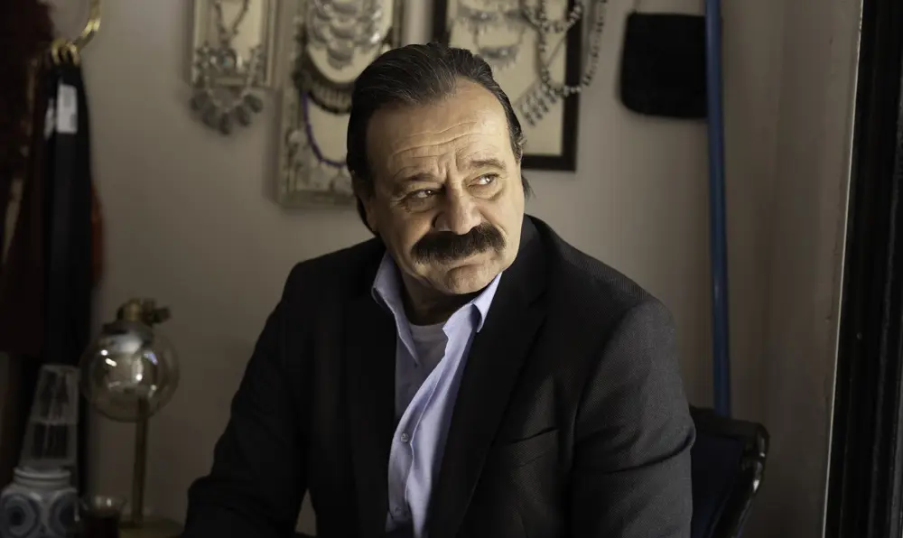 Dizi seti