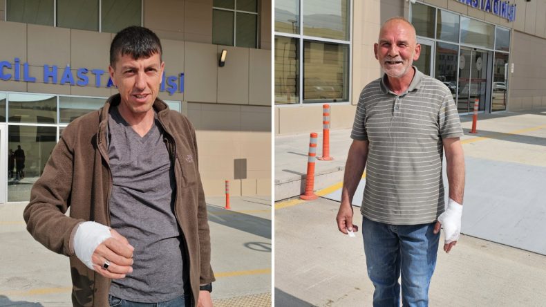 14 Bin 372 Kişi Kurbanlık Hayvan Keserken Yaralandı