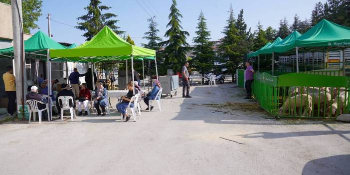 Kurbanlık Kesimi