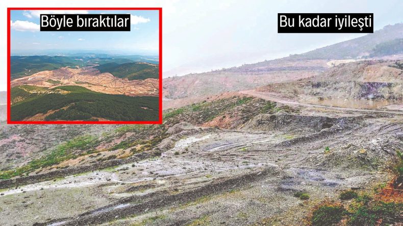 5 Yıl, 4 Yanıt, 0 Ağaç