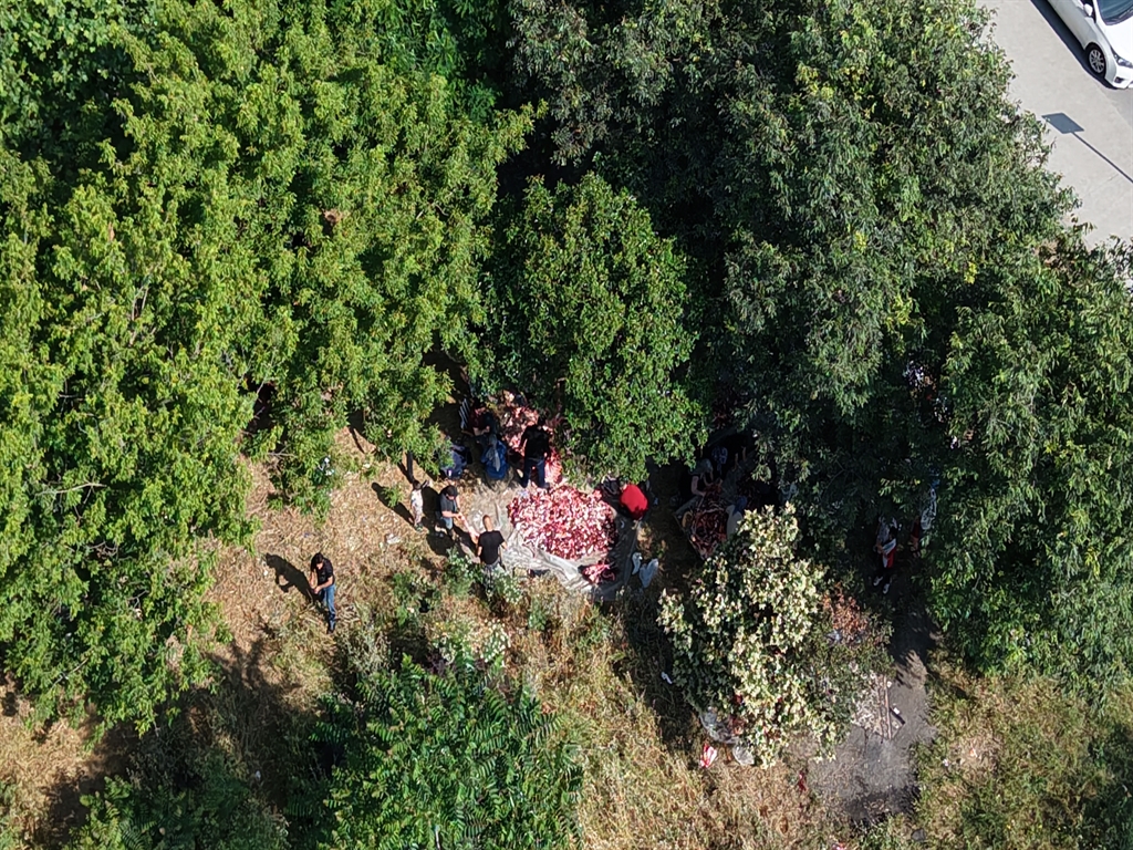 Hijyenik olmayan kesim alanı