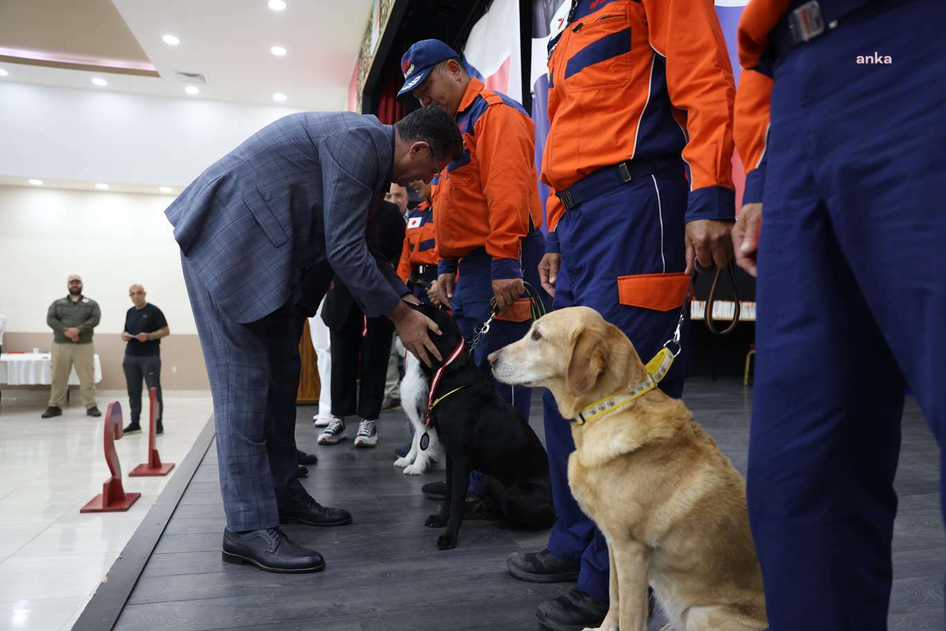 Kurtarma Köpeği Aksiyon