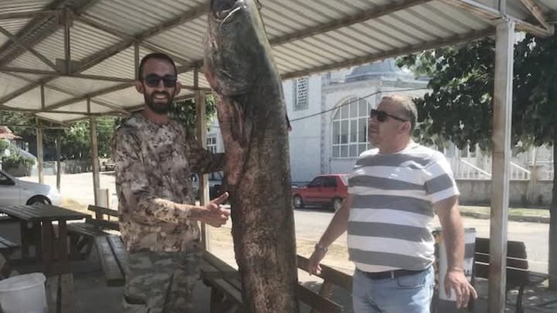 80 Kilogramlık Dev Balık Yakalandı
