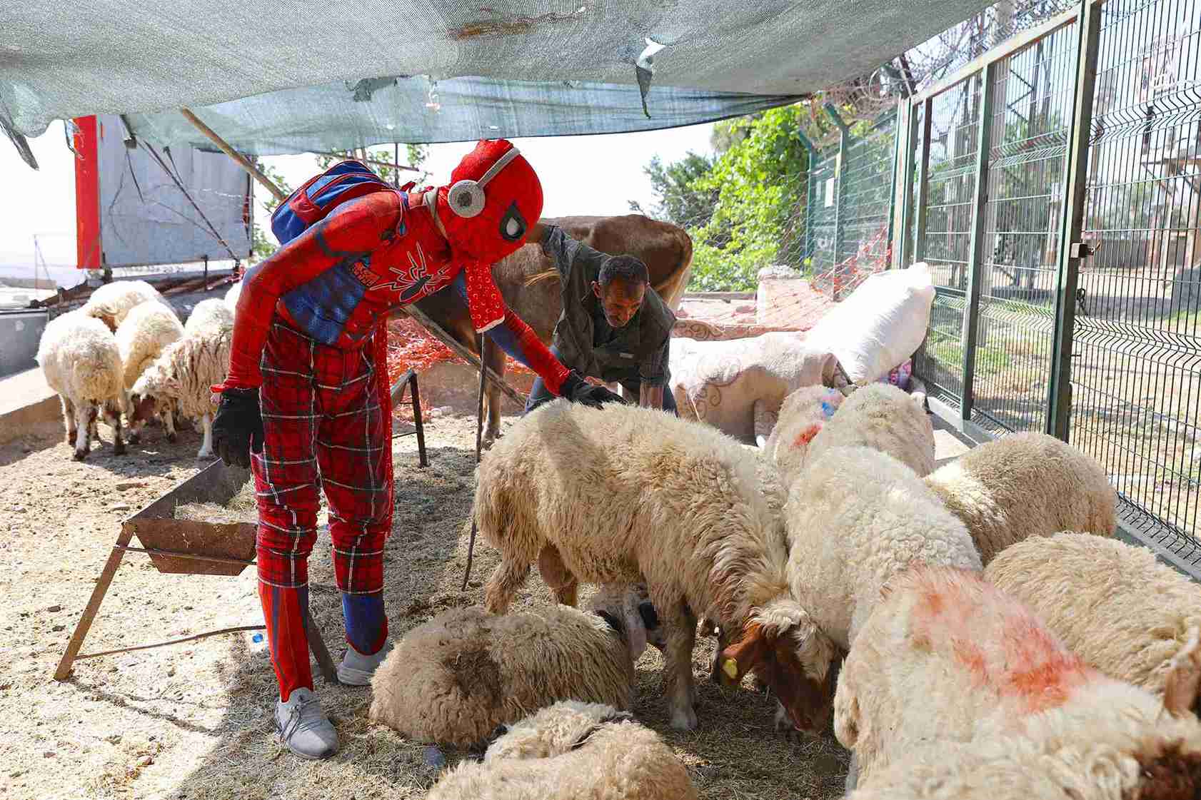 Çocuklarla Sohbet Eden Örümcek Adam