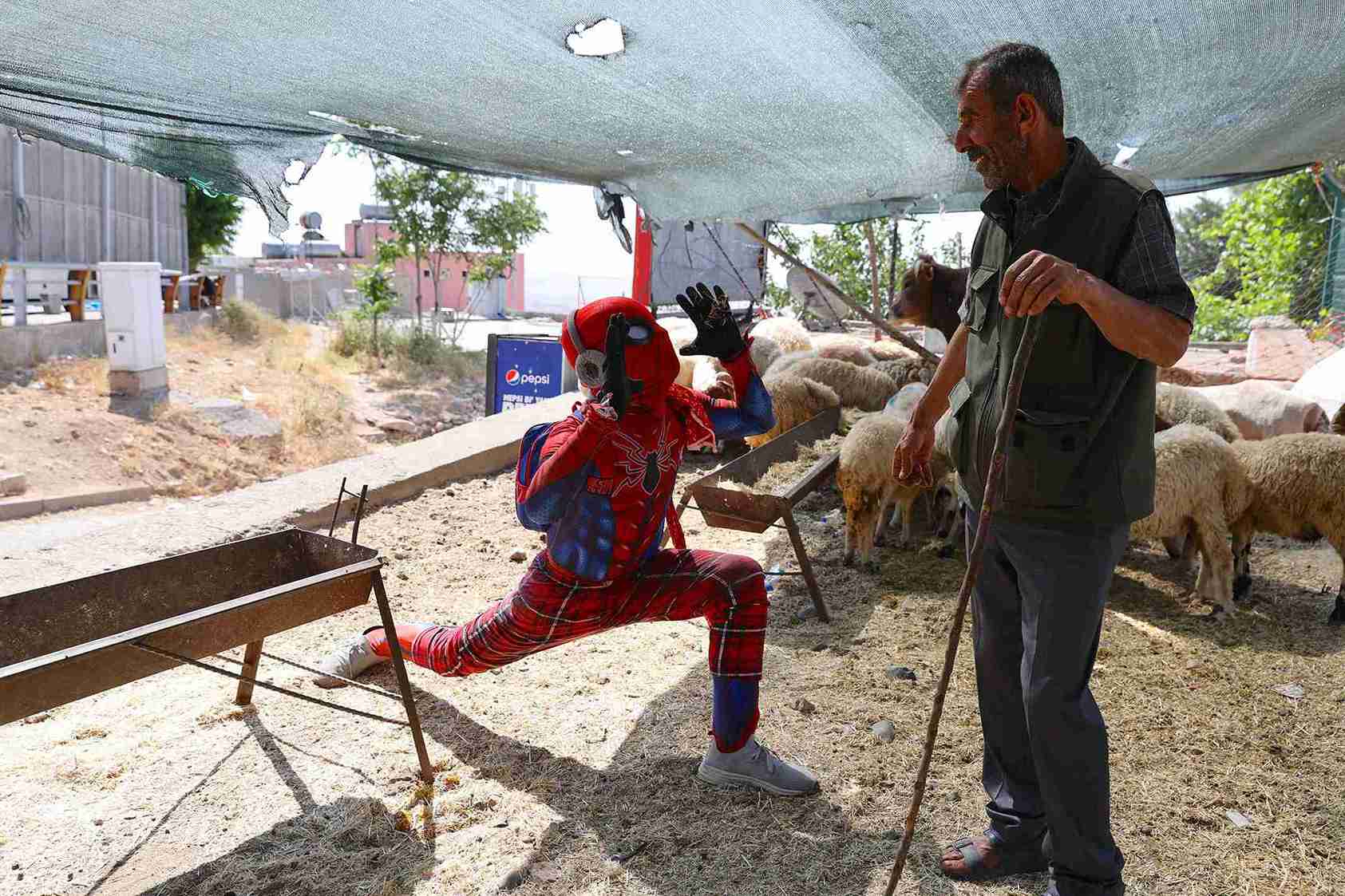 Örümcek Adam Kurban Pazarı