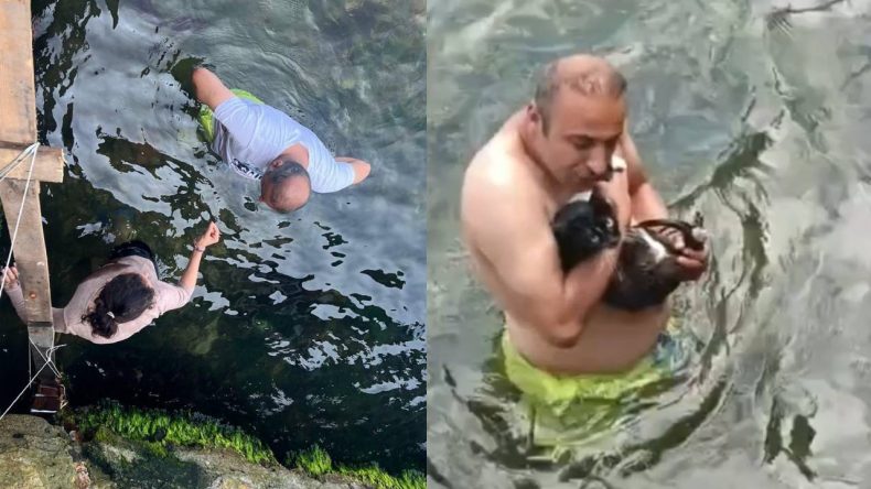 Adalıların Umut Dolu Bekleyişi Sevince Dönüştü! Küçük Kedi 8 Gün Sonra Kurtarıldı