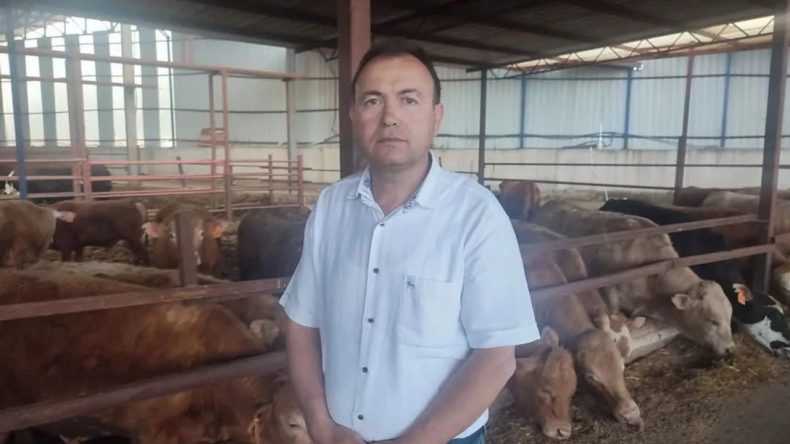 İş Adamı Boynuz Darbesiyle Hayatını Kaybetti