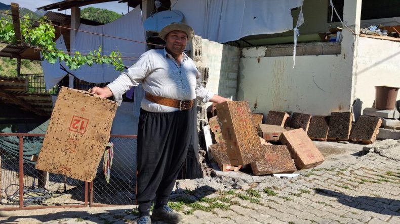 Adana Usulü Sinek Mücadelesi: 15 Dakikada 4 Karton Dolduruldu