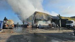 Adana’da Geri Dönüşüm Fabrikasında Yangın: Sabah Saatlerinde Meydana Geldi