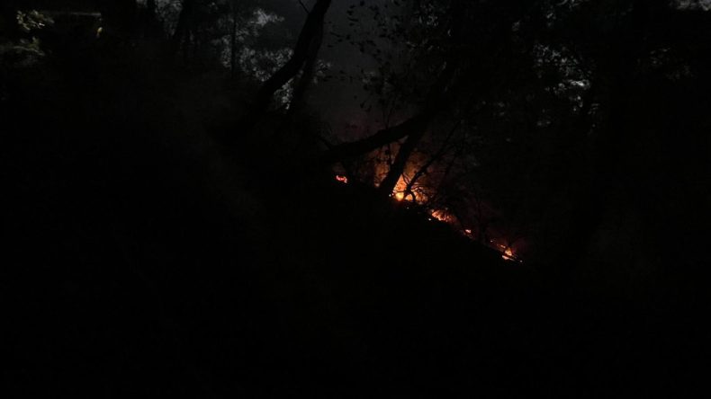 Adana’da Korku Dolu Gece: 4 Farklı Noktada Yangın Başladı