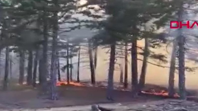 Adana’da Ormanlık Alanda Yangın Başladı